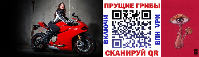Псилоцибиновые грибы Cubensis  магазин    мега ССЫЛКА  Краснообск 